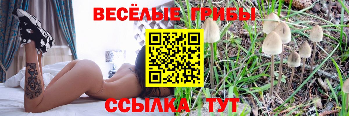 Галлюциногенные грибы ЛСД Майкоп