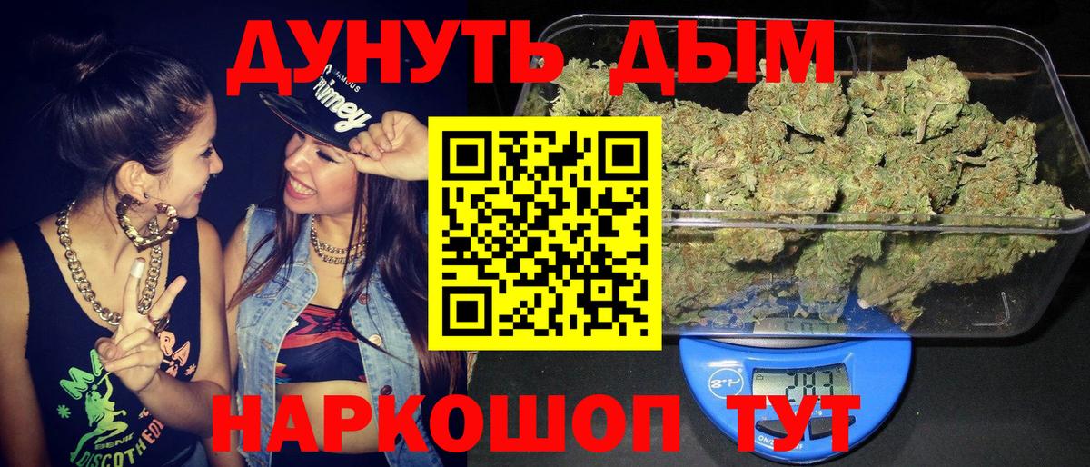 Конопля сатива Майкоп